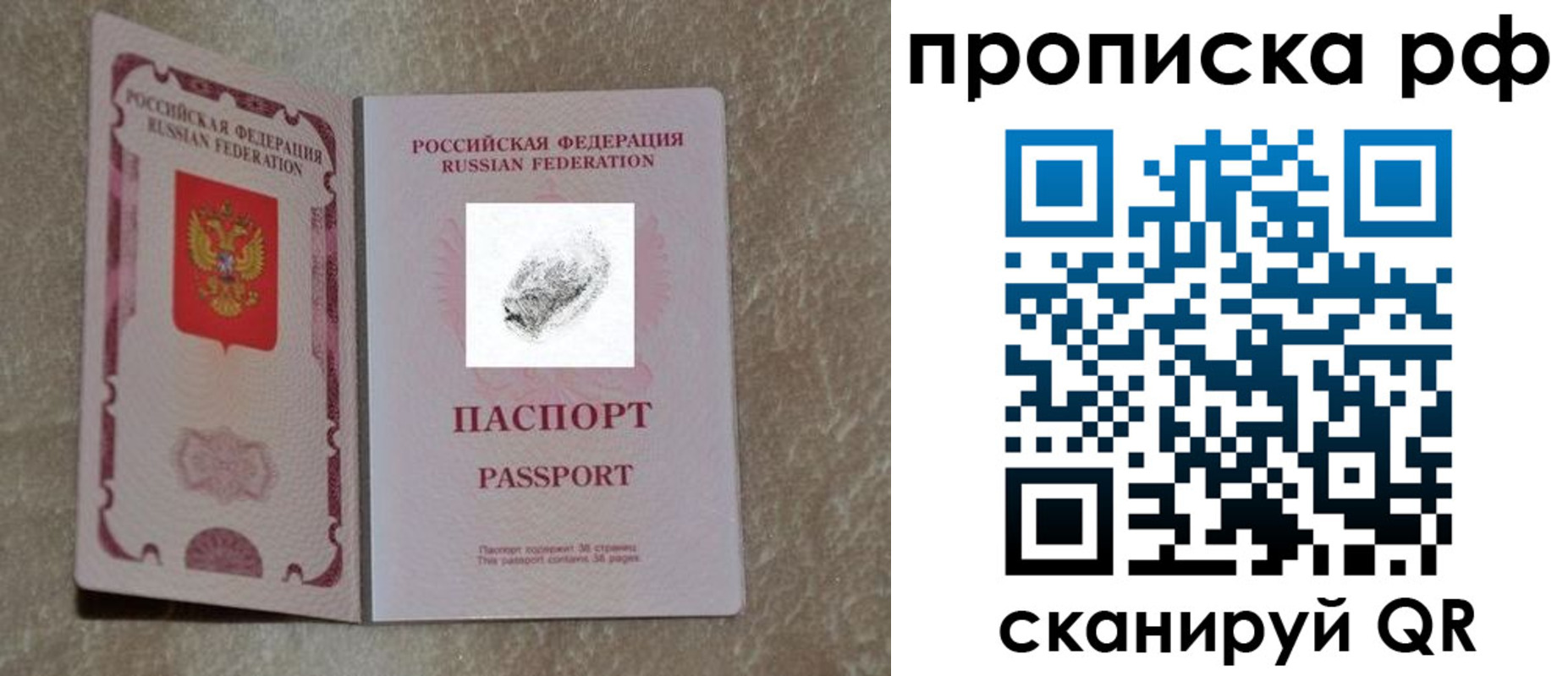 прописка поиск в Старом Осколе